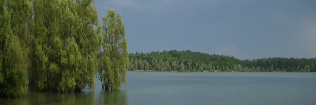 image-couvreur-shingle-aube.webp Image Couvreur shingle Aube