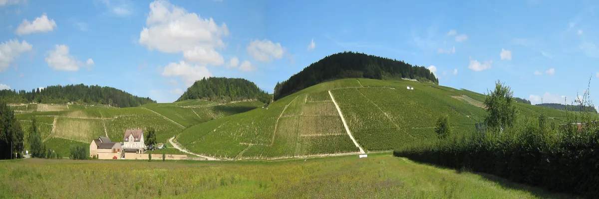 image-couvreur-shingle-bourgogne-franche-comte.webp Image Couvreur shingle Bourgogne-Franche-Comté