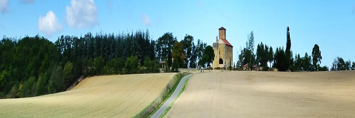 image-couvreur-shingle-gers.webp Image Couvreur shingle Gers