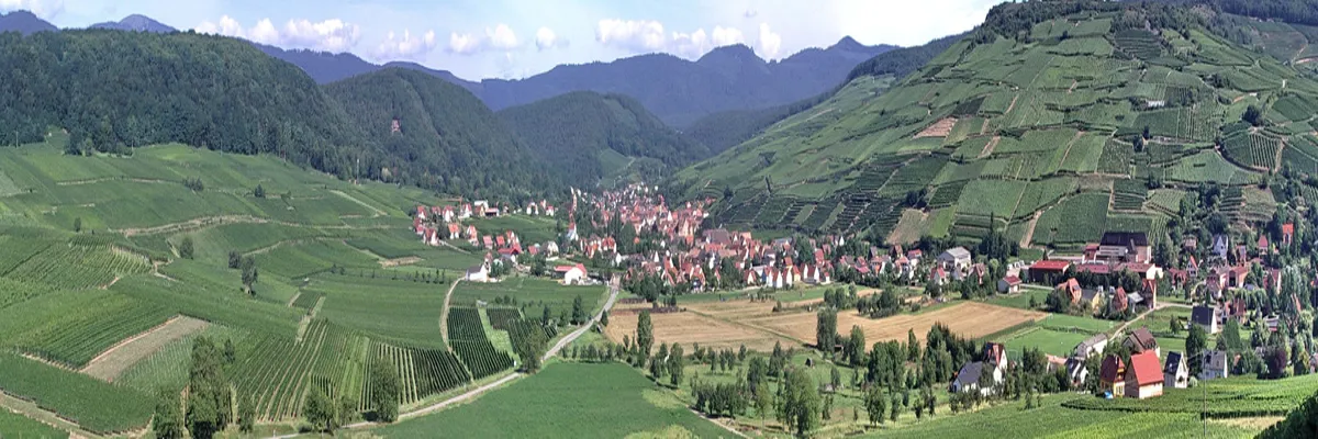 image-couvreur-shingle-grand-est.webp Image Couvreur shingle Grand Est