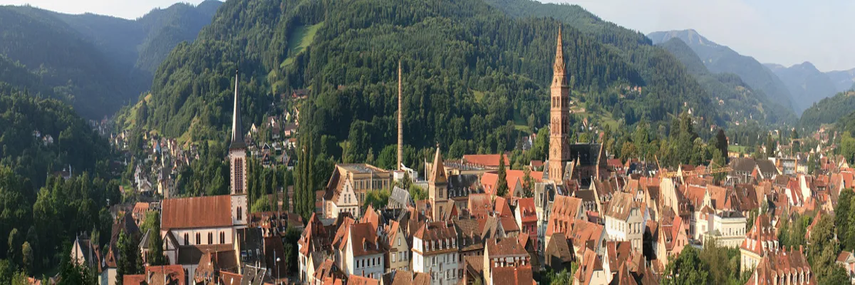 image-couvreur-shingle-haut-rhin.webp Image Couvreur shingle Haut-Rhin