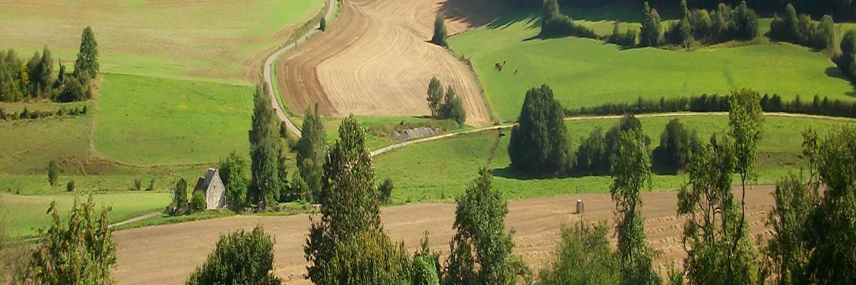 image-couvreur-shingle-haute-marne.webp Image Couvreur shingle Haute-Marne