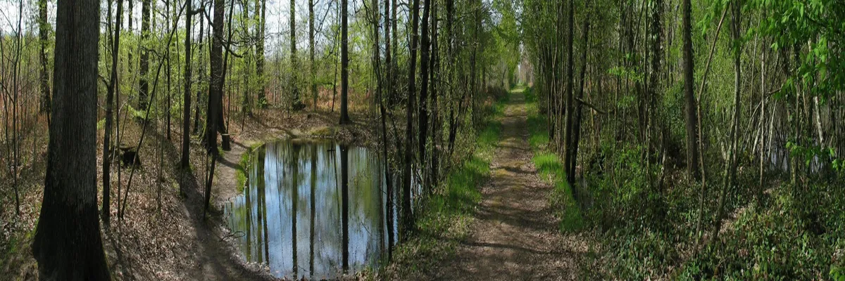 image-couvreur-shingle-indre.webp Image Couvreur shingle Indre
