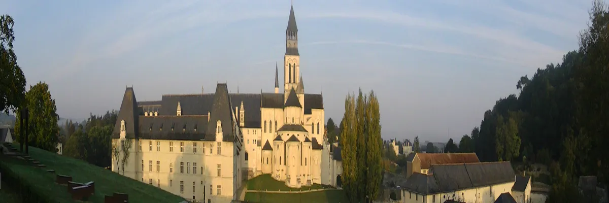 Image Couvreur shingle Maine-et-Loire