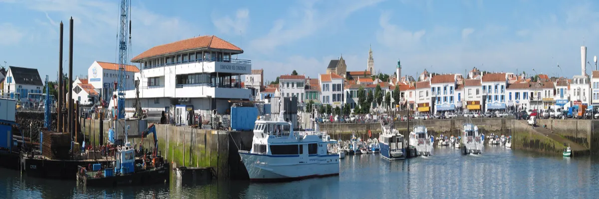 image-couvreur-shingle-pays-de-la-loire.webp Image Couvreur shingle Pays de la Loire