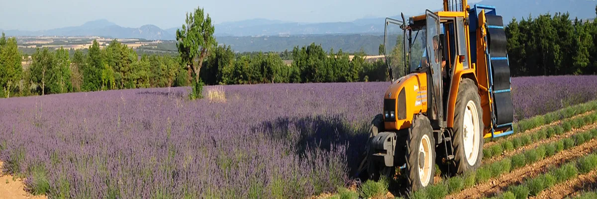 image-couvreur-shingle-provence-alpes-cote-d-azur.webp Image Couvreur shingle Provence-Alpes-Côte d'Azur