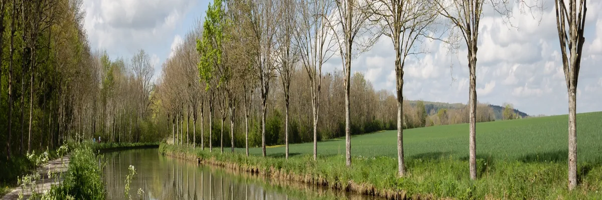 image-couvreur-shingle-yonne.webp Image Couvreur shingle Yonne