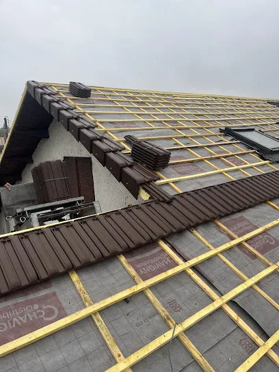 Image de Couvreur façadier 92 Bischoff Pose de Velux hauts de Seine isolation gouttière fuite, toiture, intervention rapide