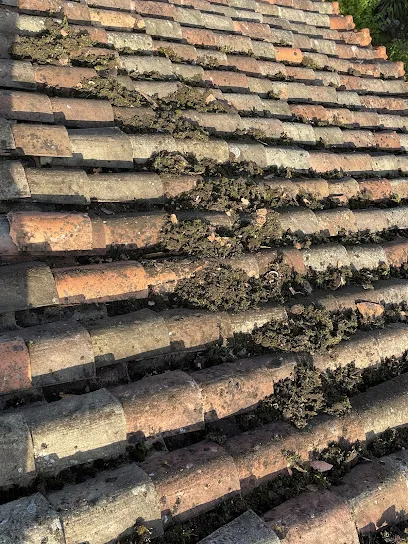 Image de Roy Du Démoussage - Nettoyage de toiture Cognac Jarnac Charente