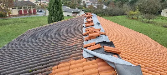 Image de Toulouse Toiture façades