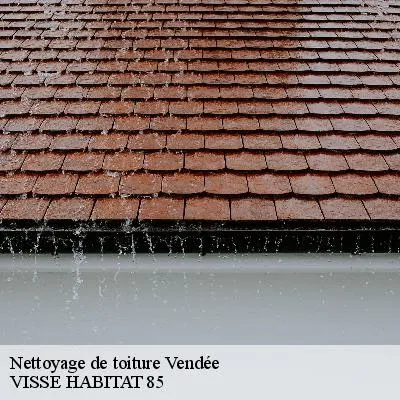 Image de VISSE HABITAT COUVREUR -Réparation Fuites,Dépannage Nettoyage toiture,charpente,recherche de fuite
