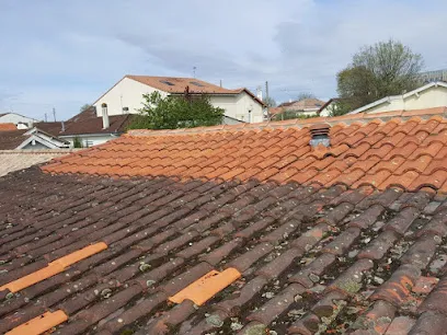 Image de Vosges Démoussage