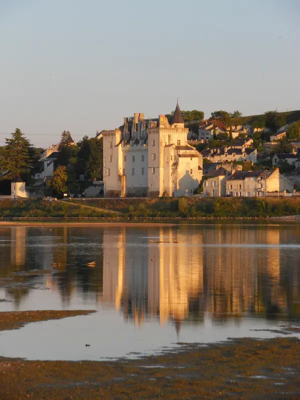 Couvreur Shingle Couvreur shingle Pays de la Loire