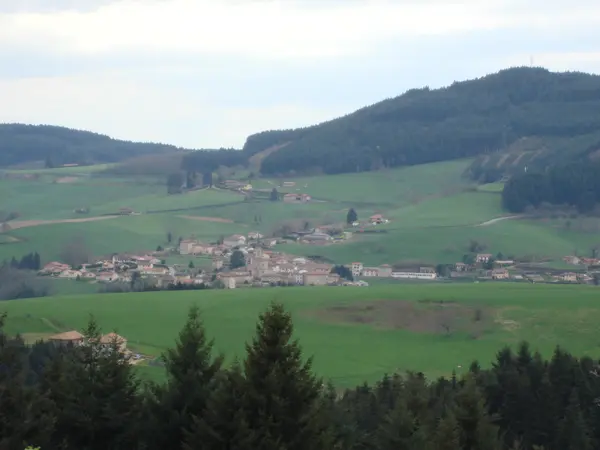 Couvreur Shingle Couvreur shingle Saint-Vincent-de-Reins